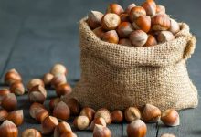 آفلاتوکسین در فندق