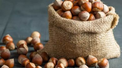 آفلاتوکسین در فندق