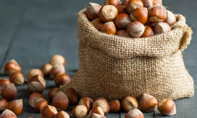 آفلاتوکسین در فندق