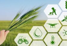 امنیت غذایی