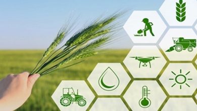 امنیت غذایی