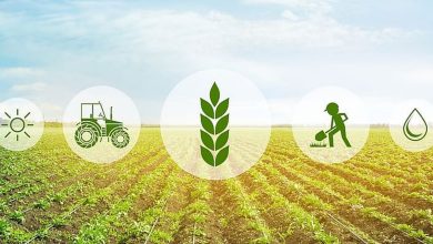 چالش های امنیت غذایی پایدار در ایران